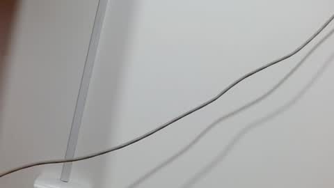 Snapshot of maddy_14 chatting on December 21, 2024, 12:16 pm Maddy UwU online show from December 21, 2024, 12:16 pm