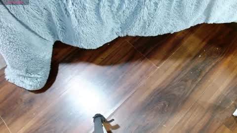 Snapshot of maddy_14 chatting on January 28, 2025, 12:32 pm Maddy UwU online show from January 28, 2025, 12:32 pm