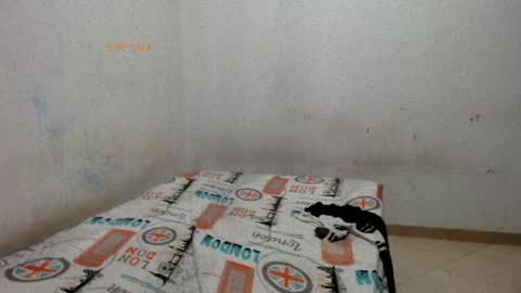 Snapshot of madisson__sexx chatting on May 29, 2026, 2:37 pm Valentina online show from May 29, 2026, 2:37 pm