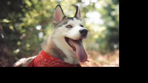 Snapshot of magic_katarina_ chatting on January 25, 2025, 2:36 pm magic_katarina_ online show from January 25, 2025, 2:36 pm