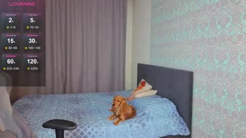 Snapshot of magic_shy chatting on November 9, 2025, 1:04 am Merry online show from November 9, 2025, 1:04 am