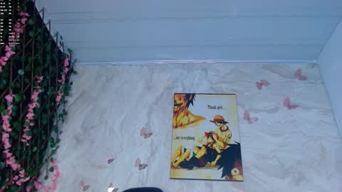 Snapshot of maicoljorda1 chatting on November 13, 2025, 12:48 pm maicoljorda1 online show from November 13, 2025, 12:48 pm