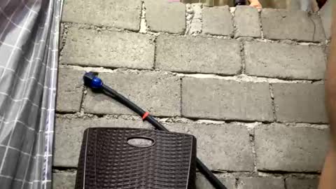 Tinaj online show from March 4, 2026, 8:31 am