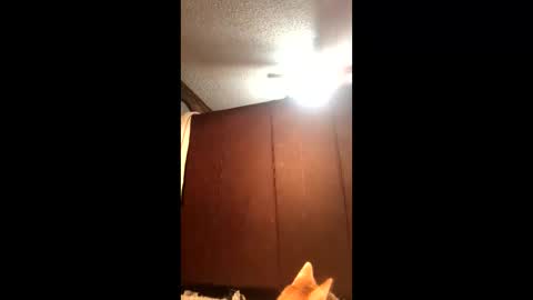 KarizmaticKitten online show from February 21, 2026, 12:11 am