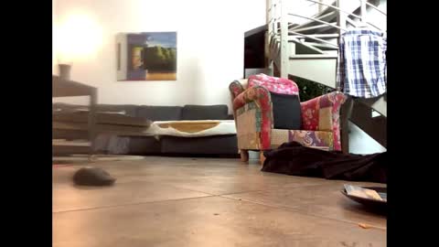 Snapshot of man38110 chatting on February 14, 2025, 6:51 pm man38110 online show from February 14, 2025, 6:51 pm