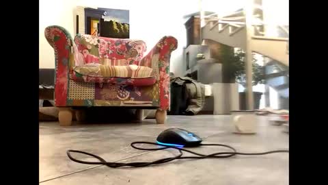 Snapshot of man38110 chatting on March 9, 2025, 8:40 am man38110 online show from March 9, 2025, 8:40 am