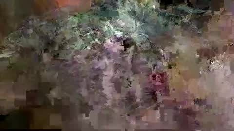 Mancok online show from March 13, 2026, 10:33 am