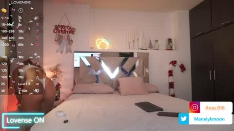 Snapshot of manelyk_10 chatting on December 29, 2024, 4:51 pm online show from December 29, 2024, 4:51 pm