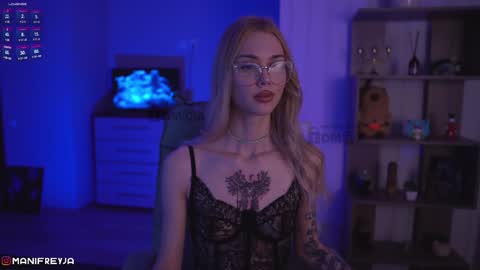 Snapshot of manifreyja chatting on December 20, 2024, 8:23 pm Amelie online show from December 20, 2024, 8:23 pm