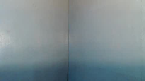 Snapshot of manualrein19 chatting on July 4, 2026, 2:12 pm rein online show from July 4, 2026, 2:12 pm