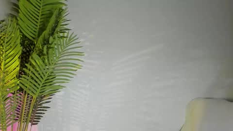 Masha online show from November 8, 2025, 7:45 pm