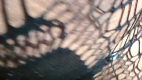 marielahorny303av online show from December 21, 2025, 2:24 pm