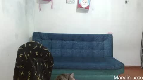 Snapshot of marilyn_xxxx chatting on June 18, 2026, 12:33 am Marilyn online show from June 18, 2026, 12:33 am