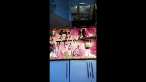 Snapshot of marinka_ chatting on May 19, 2026, 8:53 am marinka_ online show from May 19, 2026, 8:53 am