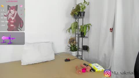 marioandmia online show from March 8, 2026, 6:39 am