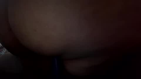 mariposa990 online show from April 1, 2026, 3:51 am