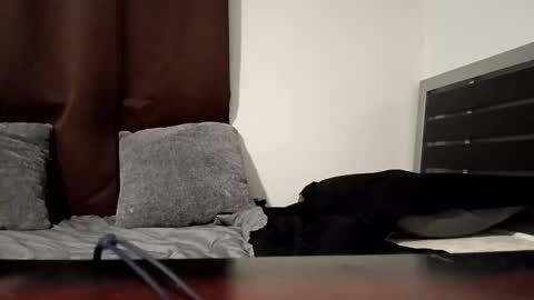 markbwcusmc online show from January 15, 2026, 2:10 pm