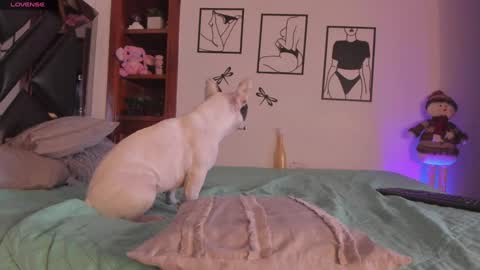 Mar online show from January 3, 2025, 4:11 am