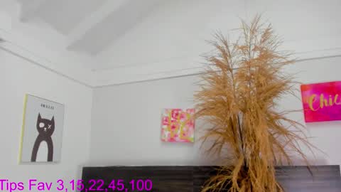 martina mIIler online show from November 17, 2025, 12:44 pm