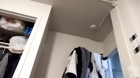 marty74841 online show from February 7, 2026, 4:11 pm