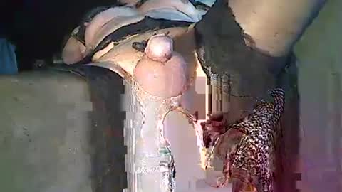 maschpro online show from December 26, 2024, 2:37 pm