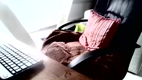 maskime59 online show from December 9, 2024, 9:06 am