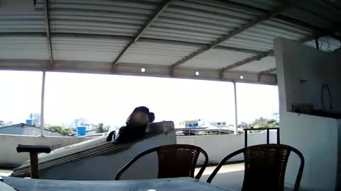 Snapshot of master_cospi96 chatting on February 14, 2025, 2:54 pm Master Cospi online show from February 14, 2025, 2:54 pm