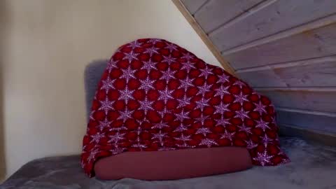 Snapshot of matko1492 chatting on March 2, 2026, 8:54 am matko1492 online show from March 2, 2026, 8:54 am