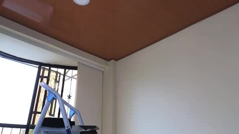 Sebastian online show from December 30, 2024, 7:32 pm