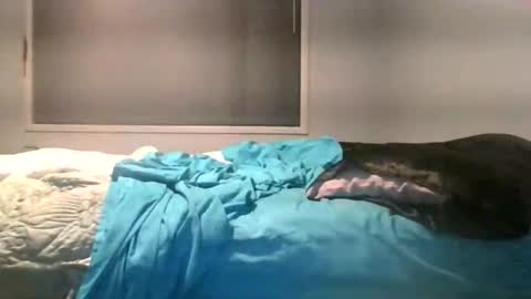Snapshot of maximus_oreally chatting on June 4, 2026, 2:28 am Max online show from June 4, 2026, 2:28 am