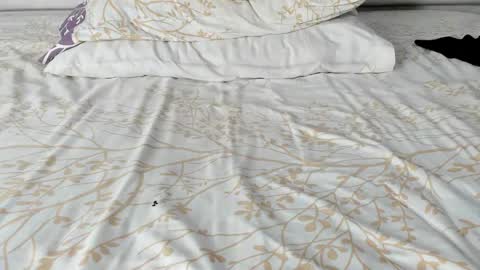 Snapshot of maybelline_666 chatting on November 20, 2025, 2:23 am Maybelline69 online show from November 20, 2025, 2:23 am