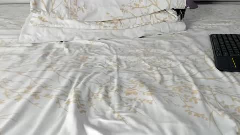 Maybelline69 online show from February 17, 2026, 8:15 pm