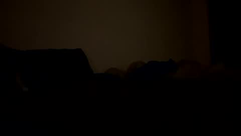 mb99667788 online show from February 24, 2026, 3:15 am