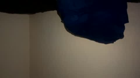 mb99667788 online show from March 21, 2026, 10:46 pm