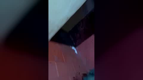 mckrns online show from March 30, 2026, 10:16 am