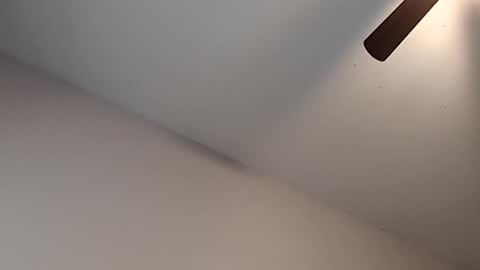 Jizzy online show from February 13, 2026, 3:30 pm