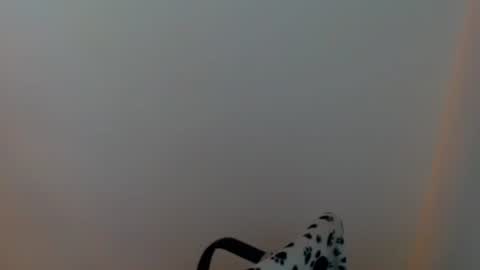 Meg4n Miauuuu online show from July 29, 2026, 3:43 pm