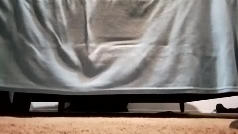 Snapshot of megacock420420 chatting on December 10, 2024, 2:27 am megacock420420 online show from December 10, 2024, 2:27 am