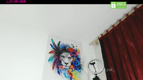 Snapshot of megan_cat chatting on November 13, 2025, 10:52 pm megan_cat online show from November 13, 2025, 10:52 pm