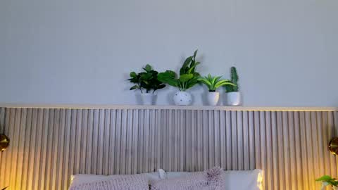 Carolina Paez online show from June 17, 2026, 12:18 pm