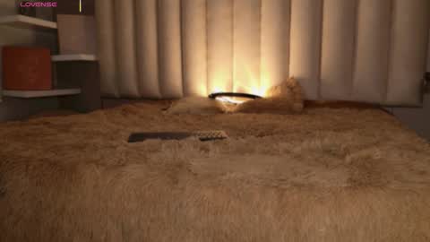     online show from November 16, 2025, 12:11 pm