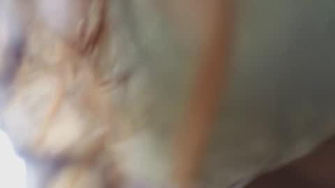 Megan online show from February 18, 2026, 11:17 am