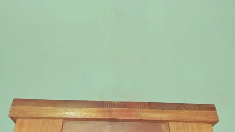 Melania online show from January 30, 2025, 3:29 pm