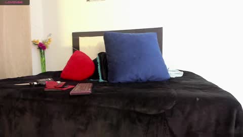 melaniie_roussel online show from December 22, 2024, 4:06 am