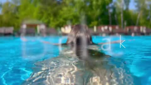 Snapshot of melanybunny chatting on December 12, 2024, 3:27 pm Adel online show from December 12, 2024, 3:27 pm