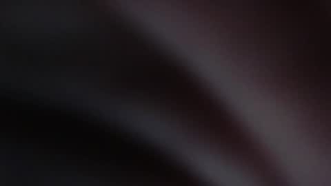 Snapshot of melefesenta chatting on January 3, 2025, 8:32 am Erica online show from January 3, 2025, 8:32 am