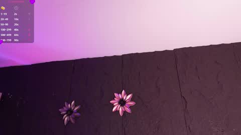 Melissa online show from January 11, 2026, 1:27 pm