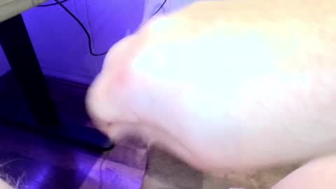 Snapshot of mellomike chatting on September 22, 2025, 6:32 pm mellomike online show from September 22, 2025, 6:32 pm