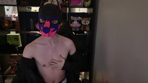 Snapshot of mellpup chatting on March 30, 2026, 1:45 pm MellPUP online show from March 30, 2026, 1:45 pm