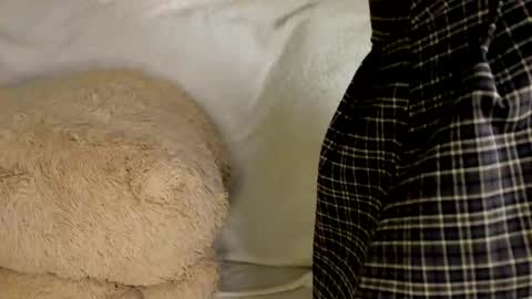 MelMooon online show from March 9, 2026, 7:40 pm